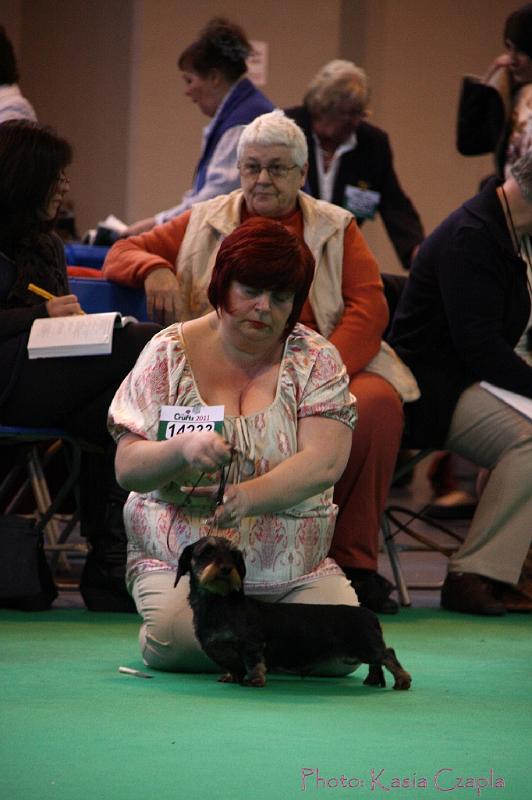 Crufts2011_2 544.jpg